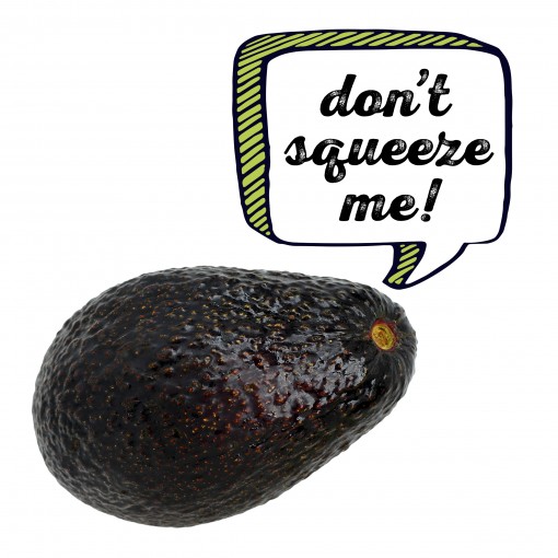 avocado scream: don't squeeze me