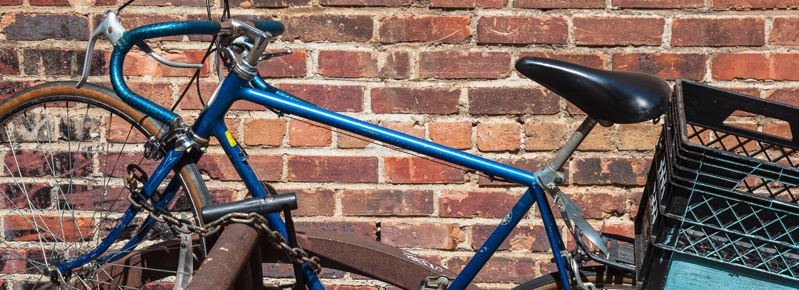 Blue Bike